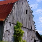 Indiana_barn