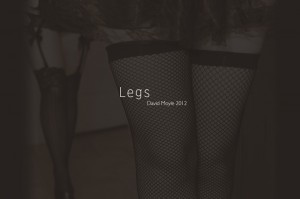 leg e-book cover
