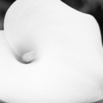 nature-ebook-preview