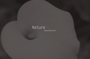 nature e-book cover