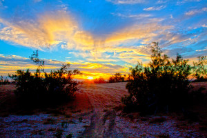 desert sunset