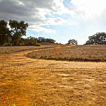 Trail