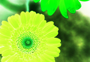 BrightGreenMonochrome