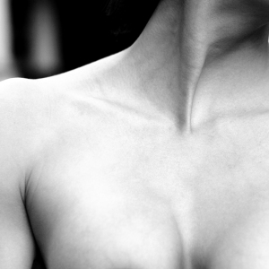 Woman's Chest