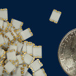 miniature chip
