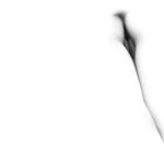 Abstract Labia Photograp