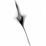 High Contrast Vagina