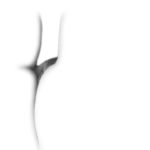 abstract vulva