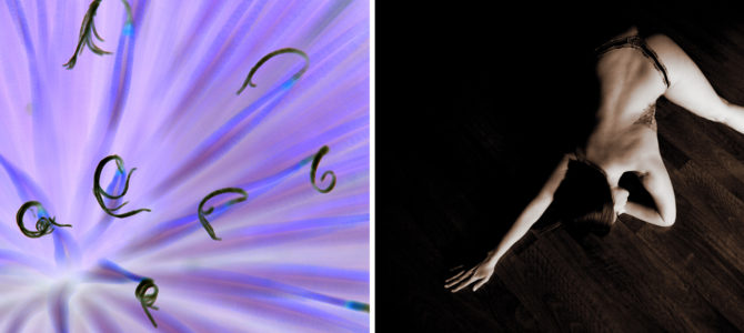 David Earns Double International Color Awards Nominations David Earns Double International Color Awards Nominations