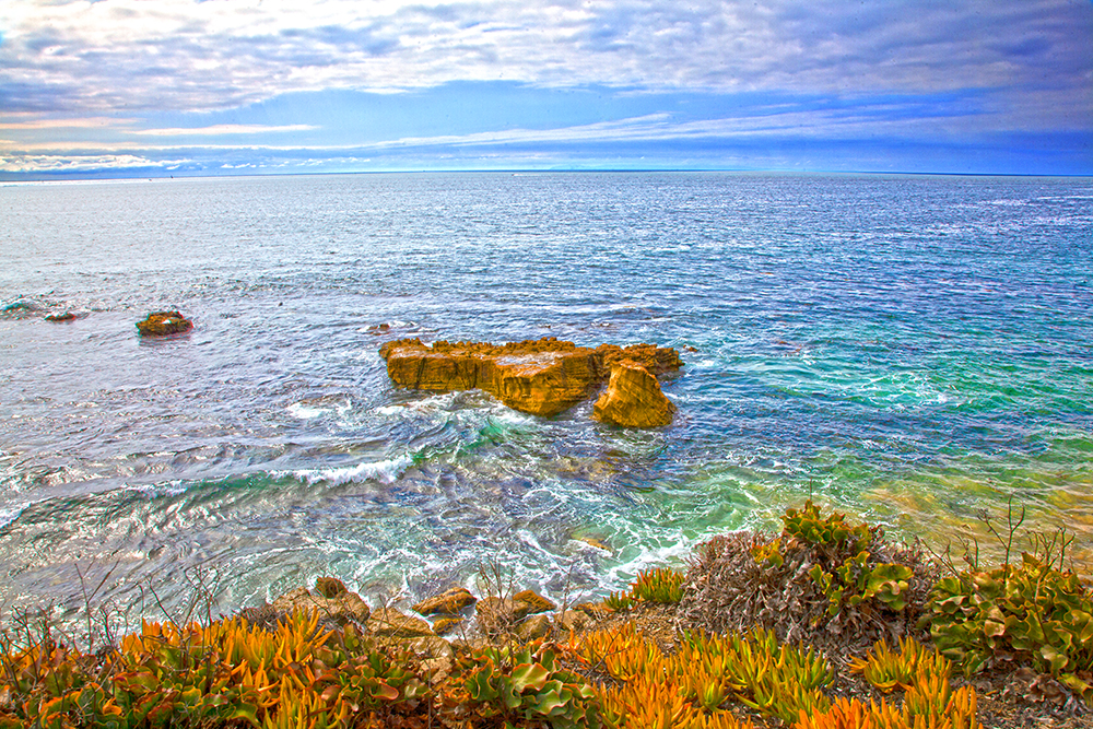 Laguna Beach Photography Lessons