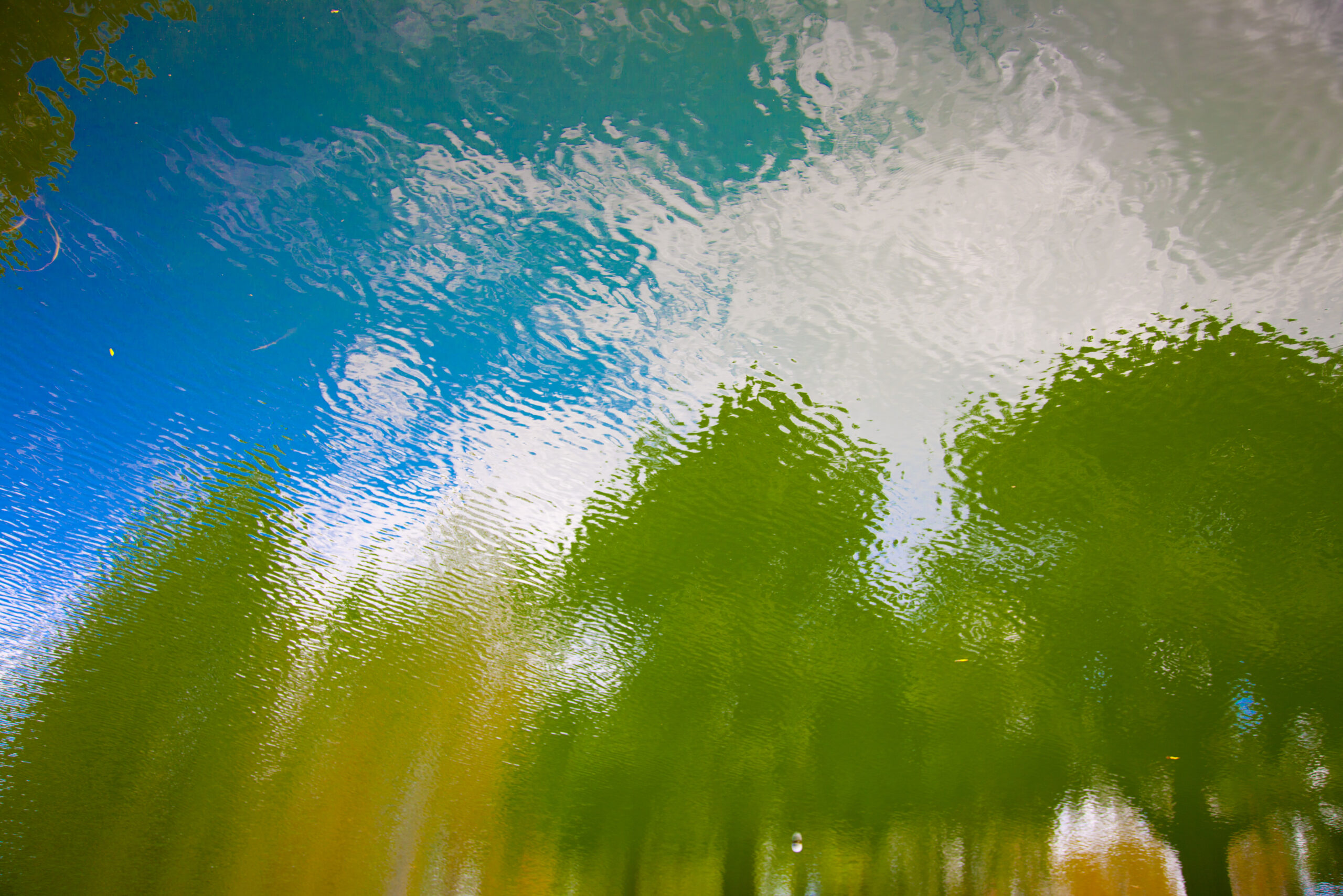 Stock Photography