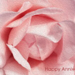 anniversary cards