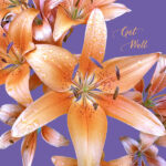 get well cards