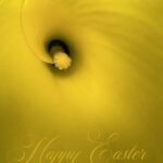 Easter Cards