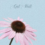 Get Well Cards