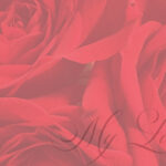Valentine's Day