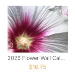 photo calendars flowers