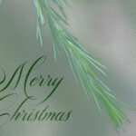 Christmas Cards