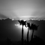 black and white nature photography