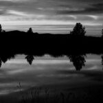 black and white nature photography