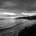 black and white nature photography