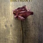 birthday cards