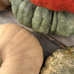 heirloom pumpkins and gourds