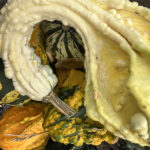 yellow twisted gourd