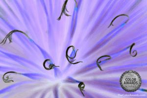 abstract art photography