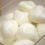 mozzarella cheese photo