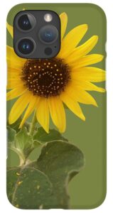 sunflower cellphone cases