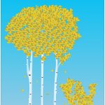 birch tree illustration