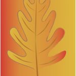 oak leaf illustration