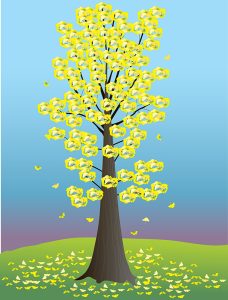 ginkgo tree