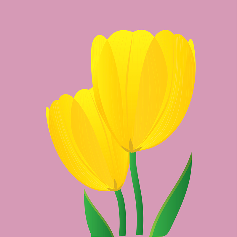 Springtime Illustrations for Getty Images