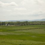 farmland