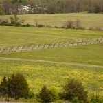 Pennsylvania Meadow