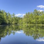 Lake Nockamixon Fishing Pond