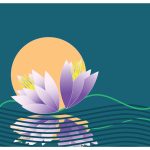 lotus flowers