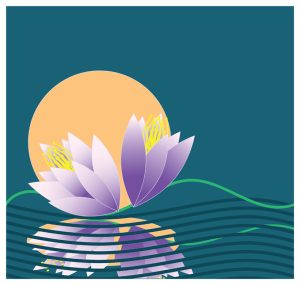 lotus flowers