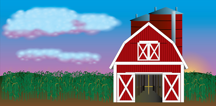 Newest Vector Illustrations