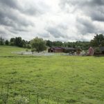 Connecticut Farm
