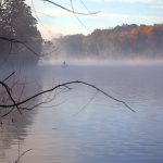 marsh creek