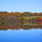 marsh creek
