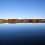 marsh creek in fall