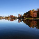 marsh creek lake in autumn