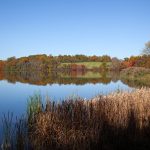 marsh creek