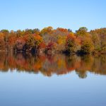 marsh creek