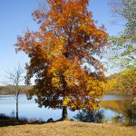 fall colors at chambers lake