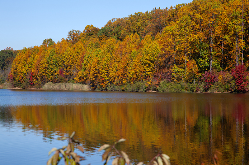 Fall Fishing Trip in Pennsylvania
